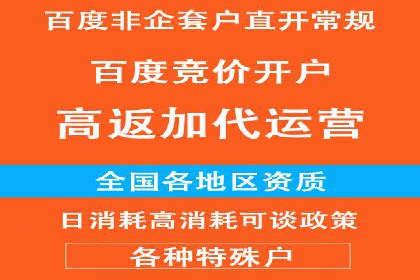 SEM广告创意与执行：成功案例分享